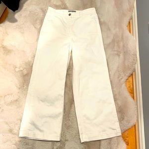 Everlane Wide Leg Crop